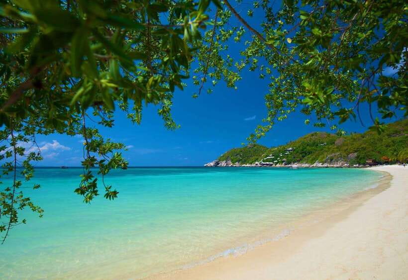 Koh Tao: Premium Snorkel Tour to Koh Nangyuan Bays by Oxygen - Should you book Oxygen’s premium Koh Nangyuan snorkel tour?