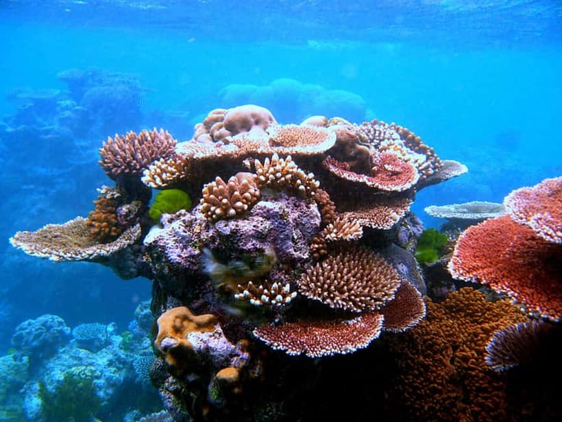 Koh Tao: Snorkeling and Sunset Tour - What’s Included (and Why It Makes the Price Feel Reasonable)