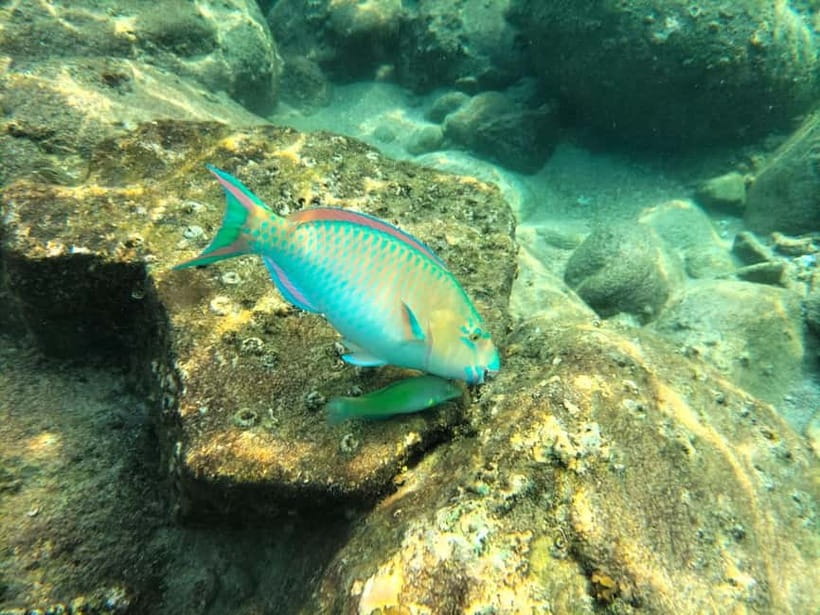 Koh Tao: Snorkeling and Sunset Tour - Safety and Comfort: How This Tour Works for Real People