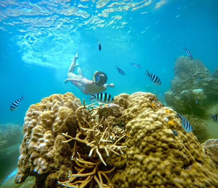 Koh Tao: Snorkeling Trip to Nang Yuan Island & Hidden Bays - Ko Nang Yuan: the island break that doesn’t feel like a detour