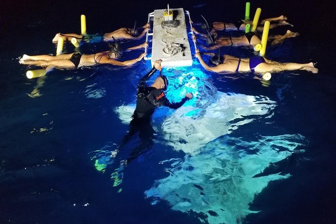 KONA Manta Ray Night Snorkel - FREE re-ride if no Sightings - Key Reasons People Love This Kona Manta Ray Night Snorkel
