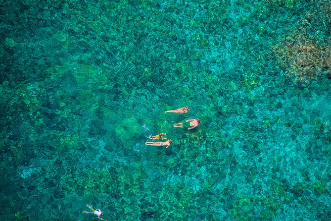 Kona’s Best Morning Snorkel: Captain Cook & Kealakekua Bay - Wildlife Odds, Whale Watches, and Realistic Expectations