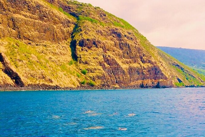 Kona Snorkel Tour: Captain Cook Reef Snorkel, Dolphin & Sea Caves - Price Check: Does $71.10 Feel Like Value?