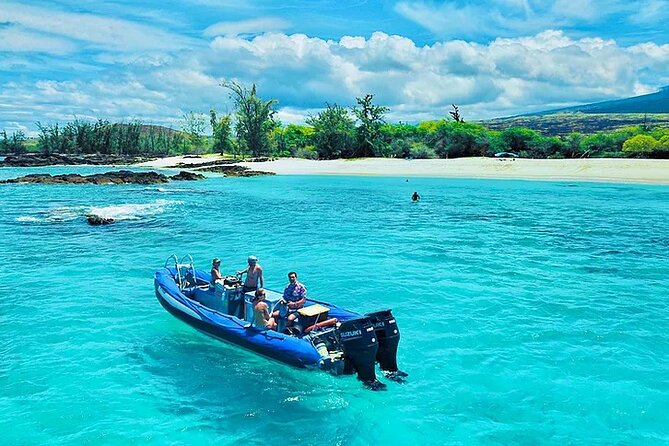 Kona Snorkel Tour: Captain Cook Reef Snorkel, Dolphin & Sea Caves - Who This Tour Is Best For