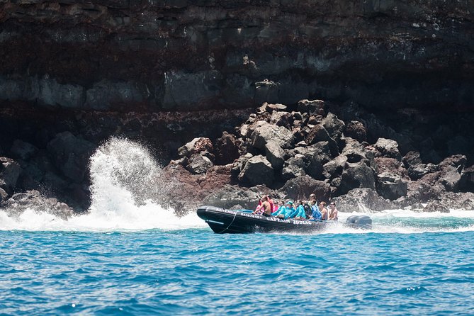 Kona Snorkeling: Beat the Crowd to Kealakekua Bay - Check-in at Captain Zodiac: faster, calmer, and comfortable
