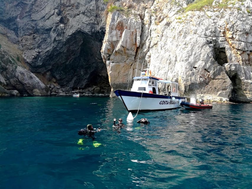 L'Estartit: Dive and Snorkeling in Montgrí Natural Park - Key Highlights You’ll Actually Care About