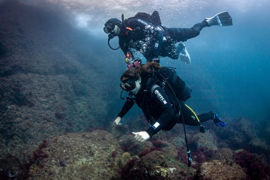 L'Estartit: Dive and Snorkeling in Montgrí Natural Park - Montgrí Natural Park: Why This Coast Feels Special