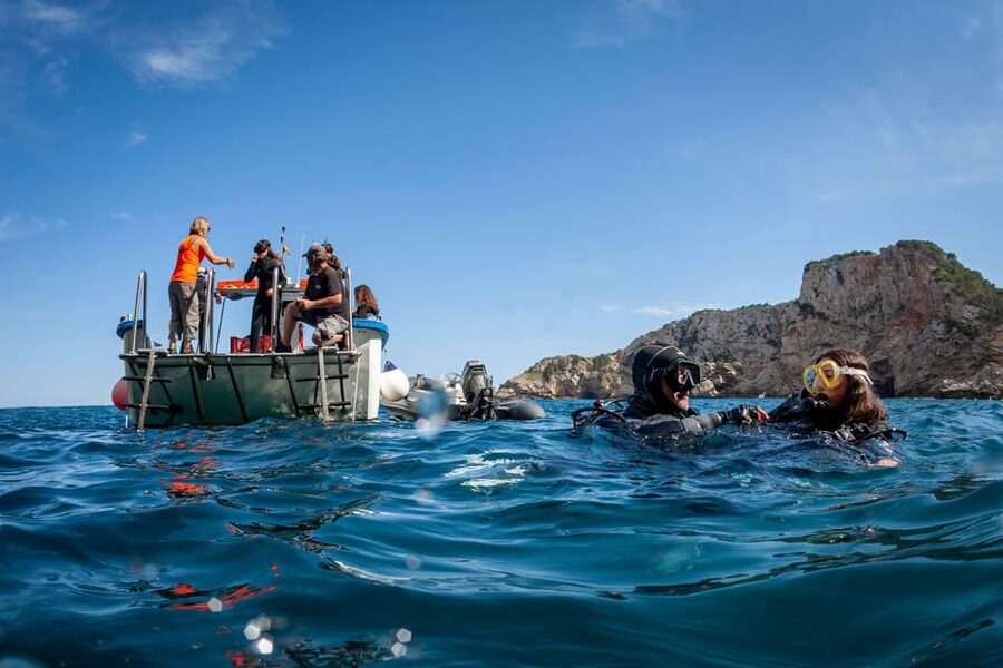 L'Estartit: Dive and Snorkeling in Montgrí Natural Park - The Boat Ride from L’Estartit: Practical Time on the Water