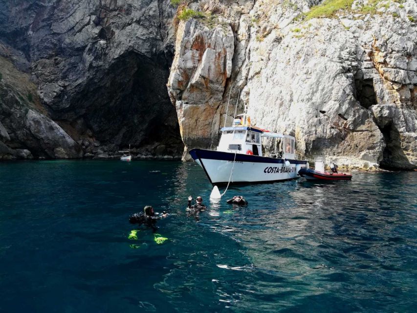 L'Estartit: Dive and Snorkeling in Montgrí Natural Park - Who Should Go (and Who Should Skip It)