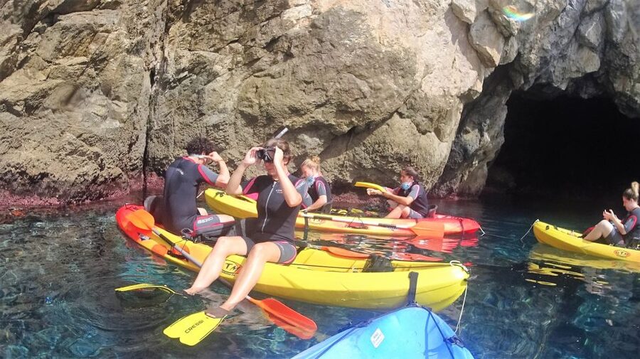 La Herradura: Cerro Gordo Natural Park Kayak & Snorkel Tour - Key highlights you’ll care about