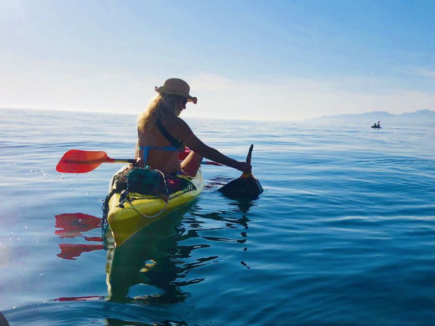La Herradura: Cerro Gordo Natural Park Kayak & Snorkel Tour - Price and value: why $35 for 2.5 hours can make sense here