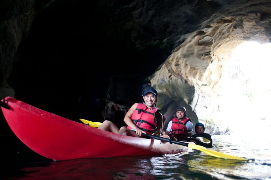 La Jolla: 2.5-Hour Kayak and Snorkel Tour - The sandy flats outside the Marine Room: sharks and rays