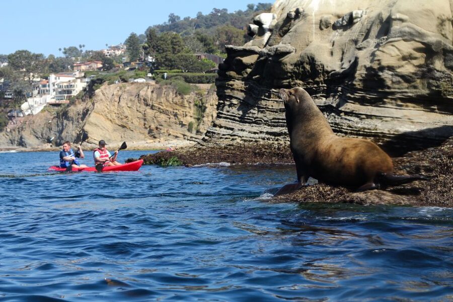 La Jolla: 2.5-Hour Kayak and Snorkel Tour - How long it takes and how the 150 minutes usually feel
