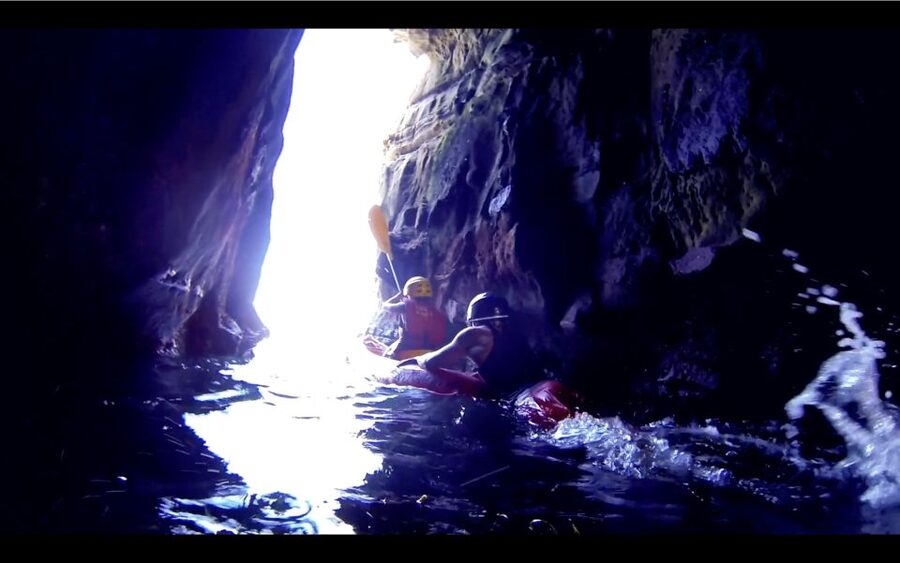 La Jolla: 2.5-Hour Kayak and Snorkel Tour - The guides: coaching, safety, and knowing what you’re looking at