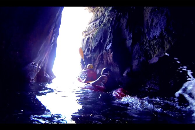 La Jolla Kayak and Snorkel Tour - Key highlights at a glance