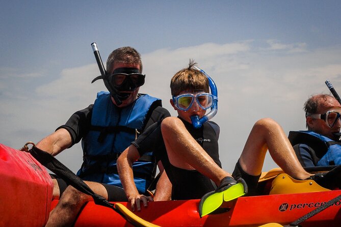 La Jolla Kayak and Snorkel Tour - Price and what you really get for $114 per group