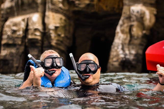 La Jolla Kayak and Snorkel Tour - The 2.5-hour rhythm: kayak first, then snorkel by the sea caves