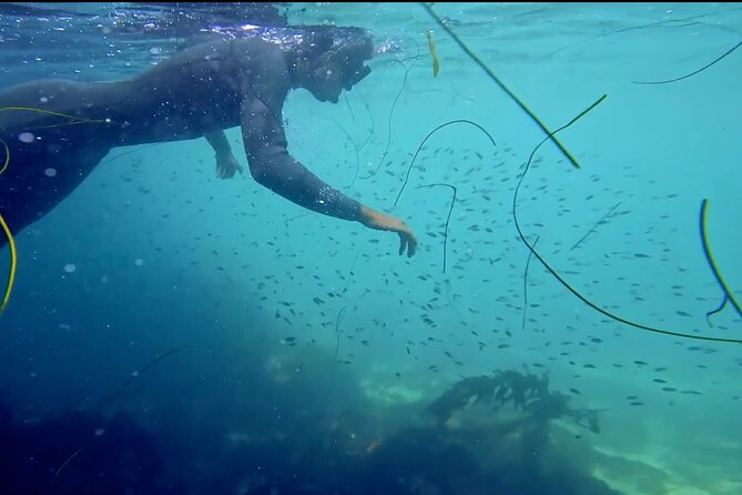 La Jolla Kayak and Snorkel Tour - Meeting point at 2158 Avenida De La Playa: how to show up ready