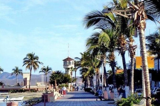 La Paz Whale Shark Snorkeling Tour and Lunch From Los Cabos - Lunch Reset in La Paz: Classic Fish Tacos With a Vegetarian Option