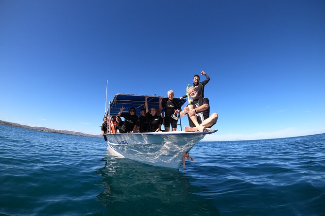 La Paz Whale Shark Snorkeling Tour and Lunch From Los Cabos - Price and Value: Is $259 Worth It for Whale Sharks?
