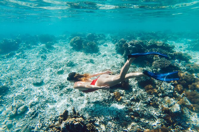 La Paz World Class Snorkeling in Balandras Hidden Beaches - Balandra Beach: how the tour works inside a protected coastline