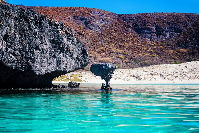 La Paz World Class Snorkeling in Balandras Hidden Beaches - Food and open bar: where the trip earns its value