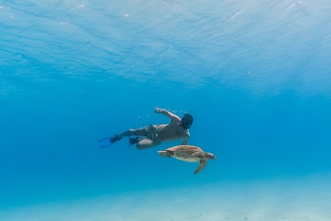 La Paz World Class Snorkeling in Balandras Hidden Beaches - Price and extra fees: is $219 fair for what you’re actually getting?