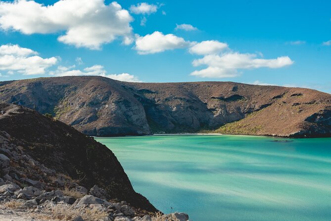 La Paz World Class Snorkeling in Balandras Hidden Beaches - Who should book this La Paz-Balandra snorkeling day?