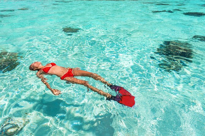 La Paz World Class Snorkeling in Balandras Hidden Beaches - Pichilingue port and the French catamaran feel