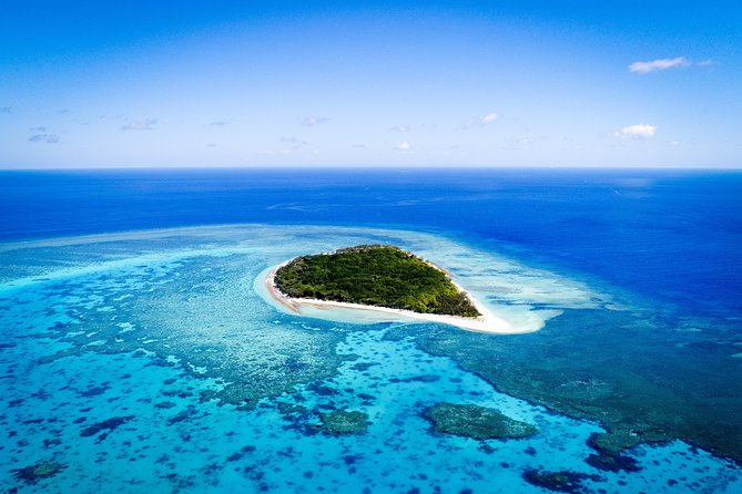 Lady Musgrave Day Trip from Bundaberg Including Snorkeling - Key Highlights That Make This Day Worth It