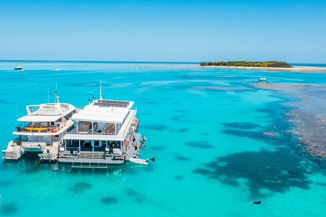 Lady Musgrave Day Trip from Bundaberg Including Snorkeling - Boarding the Catamaran: Marine Talk, Morning Tea, and the Cruise Out