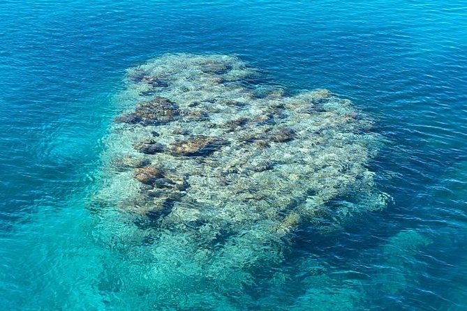 Lady Musgrave Day Trip from Bundaberg Including Snorkeling - Glass-Bottom Boat Tour: Coral Views Without Getting Wet