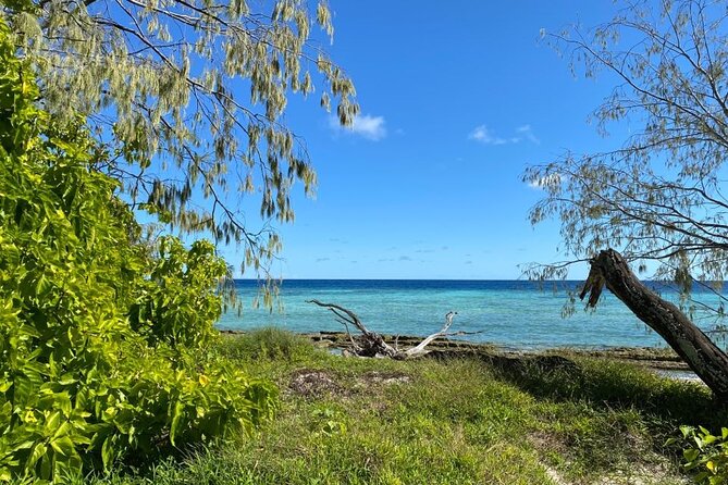 Lady Musgrave Day Trip from Bundaberg Including Snorkeling - The Guided Island Walk: Land-Based Reef Learning