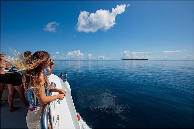 Lady Musgrave Day Trip from Bundaberg Including Snorkeling - Price and Value at $240.64: When It Feels Worth It