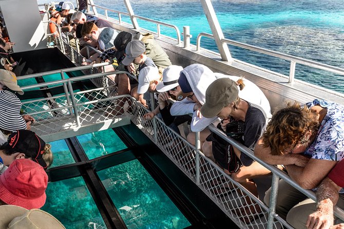 Lady Musgrave Day Trip from Bundaberg Including Snorkeling - Lady Musgrave Lagoon Snorkeling: Pontoon Access and Warm Showers