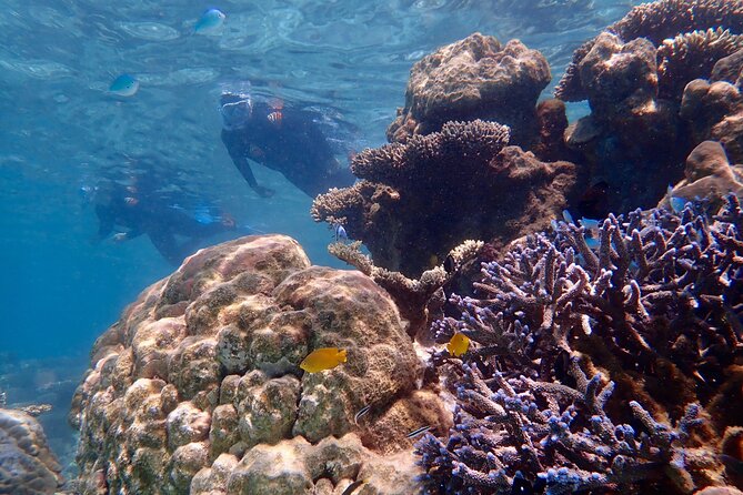 Lagoon Explorer - Ningaloo Reef Full-Day Kayaking and Snorkeling Adventure - Stop-by-stop: what “Ningaloo” and “Cape Range” feel like during the day
