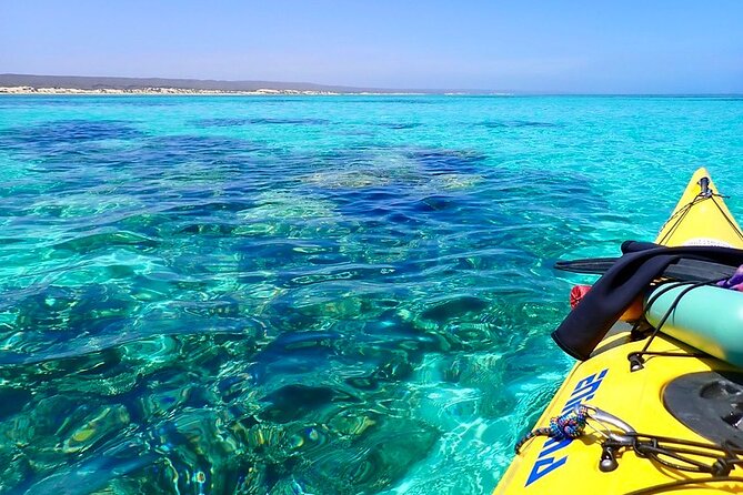 Lagoon Explorer - Ningaloo Reef Full-Day Kayaking and Snorkeling Adventure - Price and value: is $200.83 worth it?