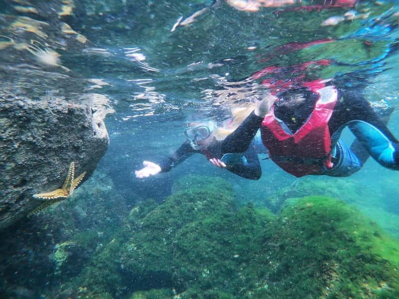 Lagos: Algarve Coasteering and Snorkeling Adventure - Snorkeling as a bonus, not the main event