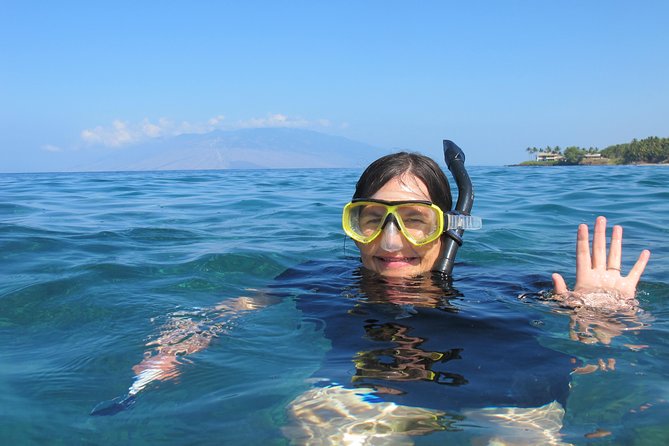 Lahaina Kayak and Snorkel Excursion - The reef snorkeling stop: what you can expect to see