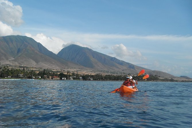 Lahaina Kayak and Snorkel Excursion - Price and value: why $89 can be a deal (when conditions are good)