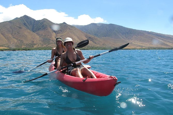 Lahaina Kayak and Snorkel Excursion - Wildlife spotting with a guide: sea turtles, monk seals, and the little details