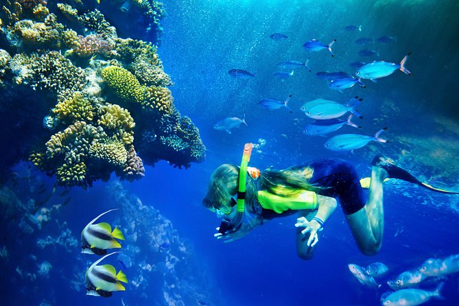 Lanai Snorkel and Dolphin Watch from Maalaea - Key things to know before you go