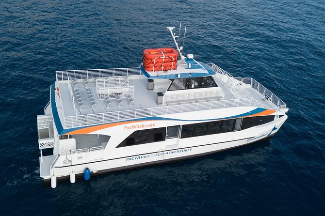 Lanai Snorkel and Dolphin Watch from Maalaea - Breakfast, lunch, drinks, and the BYOB rules