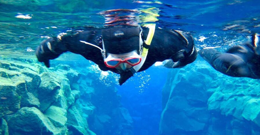 Las Palmas: Las Canteras Beach Snorkeling Trip - What You’ll See Underwater: Fish IDs and Rocky Hiding Spots