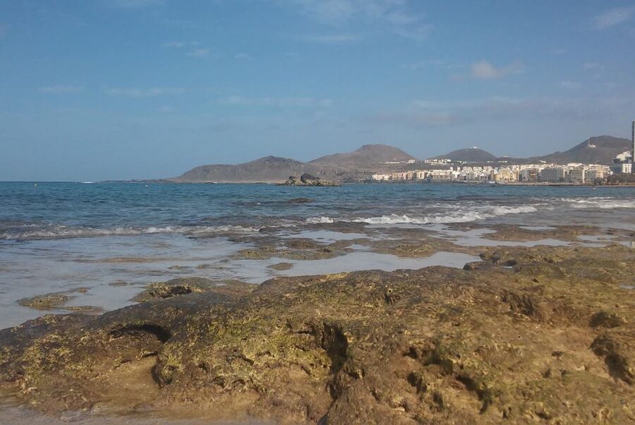 Las Palmas: Las Canteras Beach Snorkeling Trip - Gear, Safety Talk, and the Calm Rules of the Water