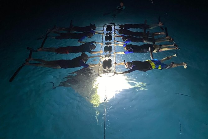 Late Night Manta Snorkel - Why a Late-Night Catamaran for Manta Rays?