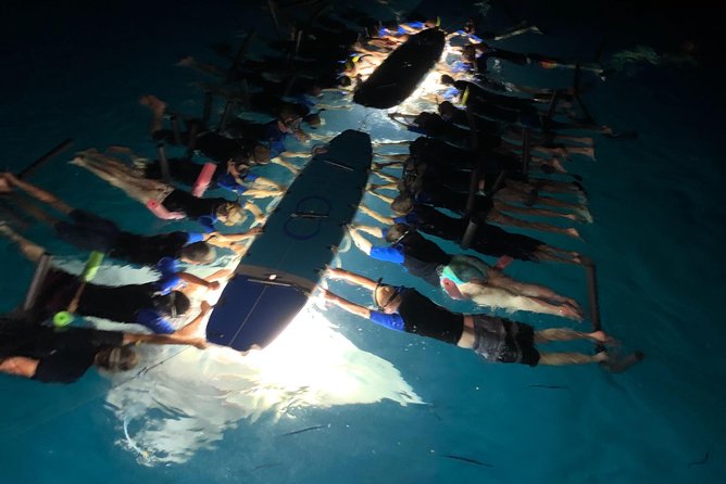 Late Night Manta Snorkel - Meet Kona Style: Where to Check In and What to Bring