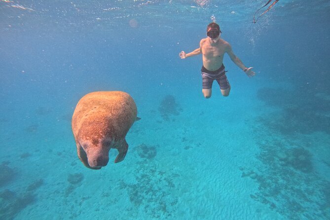 Let's snorkel Hol Chan the Best Marine Reserve in Belize - Key things I’d plan for on this Hol Chan snorkeling day