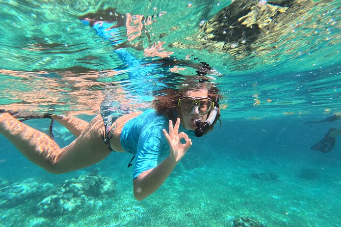 Let's snorkel Hol Chan the Best Marine Reserve in Belize - Shark Ray Alley: nurse sharks up close, and rays in the mix