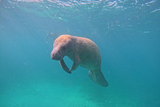Let's snorkel Hol Chan the Best Marine Reserve in Belize - Food, rum punch, and the GoPro that saves your memories